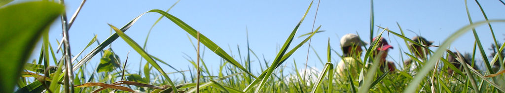 natura2