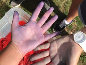 img-20170806-wa0024