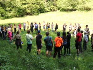 Anno scout 2025-26